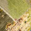 GALEXY HESAM DECO-4a - Afbeelding 2